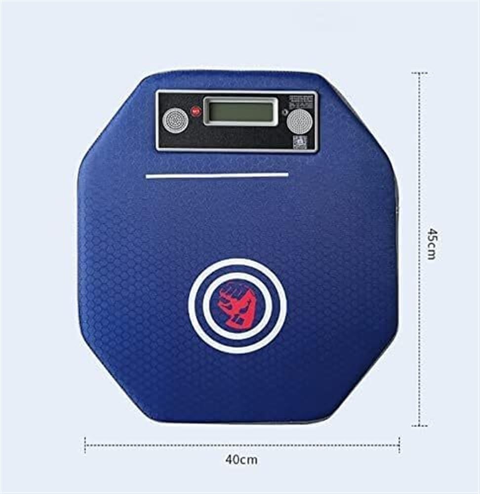 Wall Mounted Boxing Machine with Punch Force Tester, Music Boxing Training Punching Target Striking Target Boxing Mat, Punching Bag Boxing Pads Equipment for Adult Youth Kid