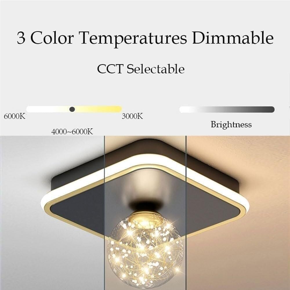 Modern Ceiling Light Fixture Square with Globe Shade Dimmable LED with 3 Color Changing Modes Decorative Hallway Entryway Corridor Lighting,9.8-Inch