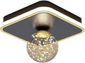 Modern Ceiling Light Fixture Square with Globe Shade Dimmable LED with 3 Color Changing Modes Decorative Hallway Entryway Corridor Lighting,9.8-Inch
