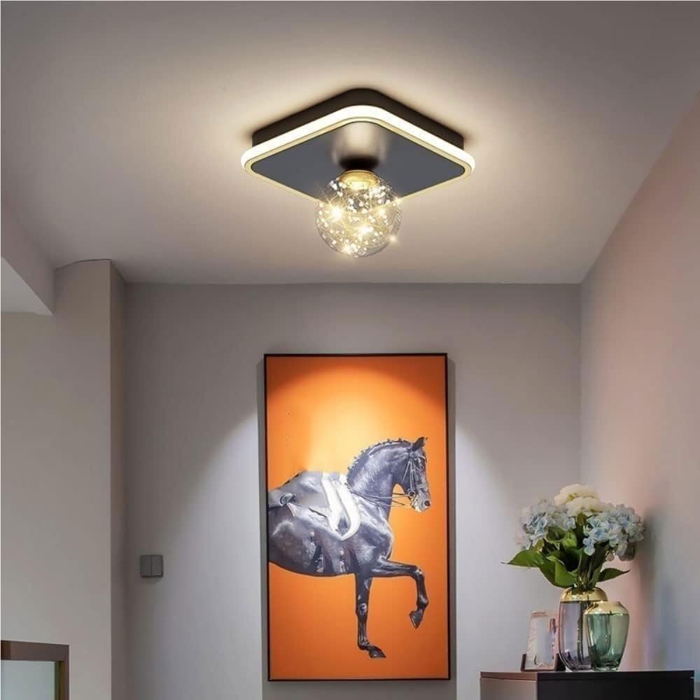 Modern Ceiling Light Fixture Square with Globe Shade Dimmable LED with 3 Color Changing Modes Decorative Hallway Entryway Corridor Lighting,9.8-Inch