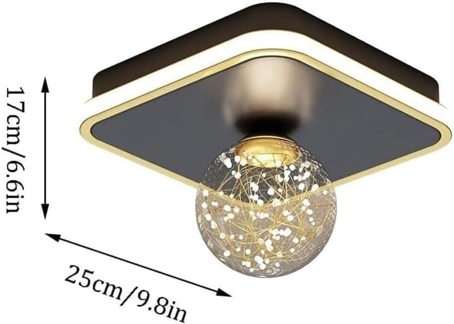 Modern Ceiling Light Fixture Square with Globe Shade Dimmable LED with 3 Color Changing Modes Decorative Hallway Entryway Corridor Lighting,9.8-Inch