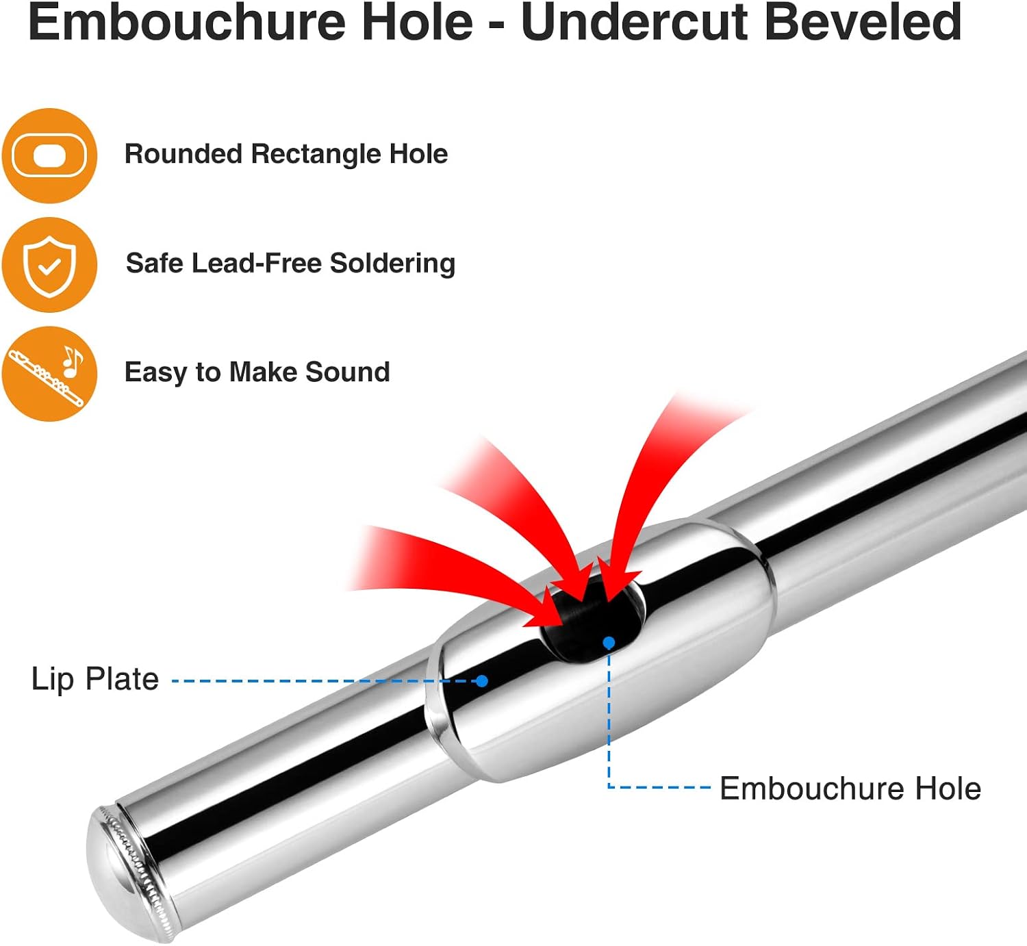 POGOLAB Open Hole C Flute, 16 Keys Student Flute Instrument for Beginner Advanced Player, with Carry Bag, Strap, Gloves, Adjustment Screwdriver, Cleaning Kit (Open/Closed Hole, Silver Plated)