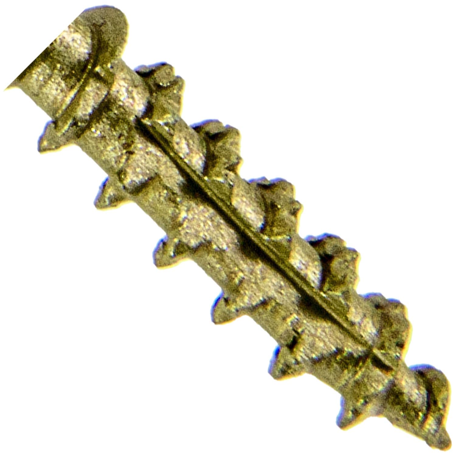 Jake Sales #14 x 2 Construction Lag Screw - Torx/Star Drive Heavy Duty Structural Lag Screw - Exterior Coated - ACQ Compatible - Modified Truss Washer Head. (10 x 100 Count CASE -1,000 Screws)