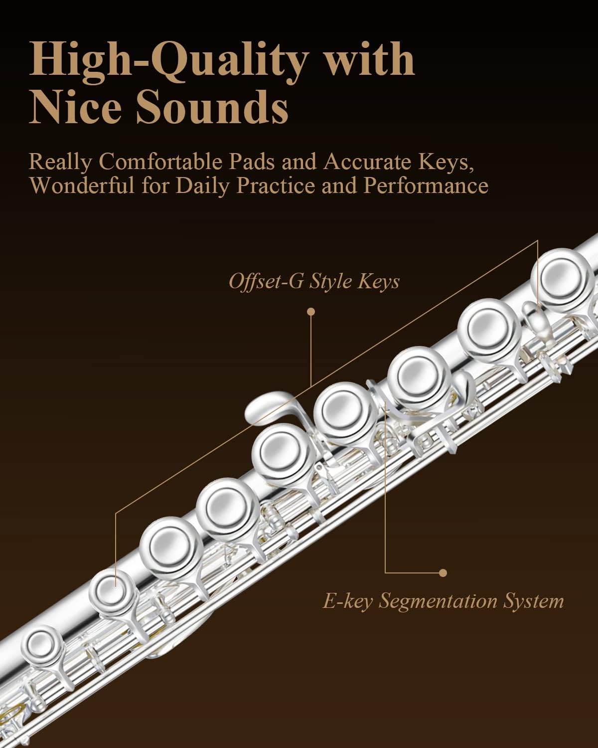 Eastar Upgraded Closed Hole 16 Keys C Flute for Beginner Student, Instrument with Cleaning Kit, Stand, Case, Gloves, Tuning Rod, Fingering Chart, Silver Plated, EFL-1S