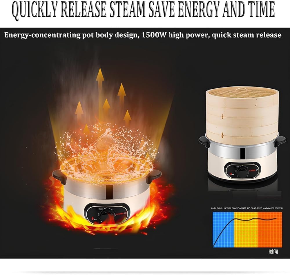 Electric Food Steamer for Cooking Vegetable Steamer with 2-Tier Bamboo Steamer with 60 Min Timer Auto Shut-Off & Boil Dry Protection 1500W