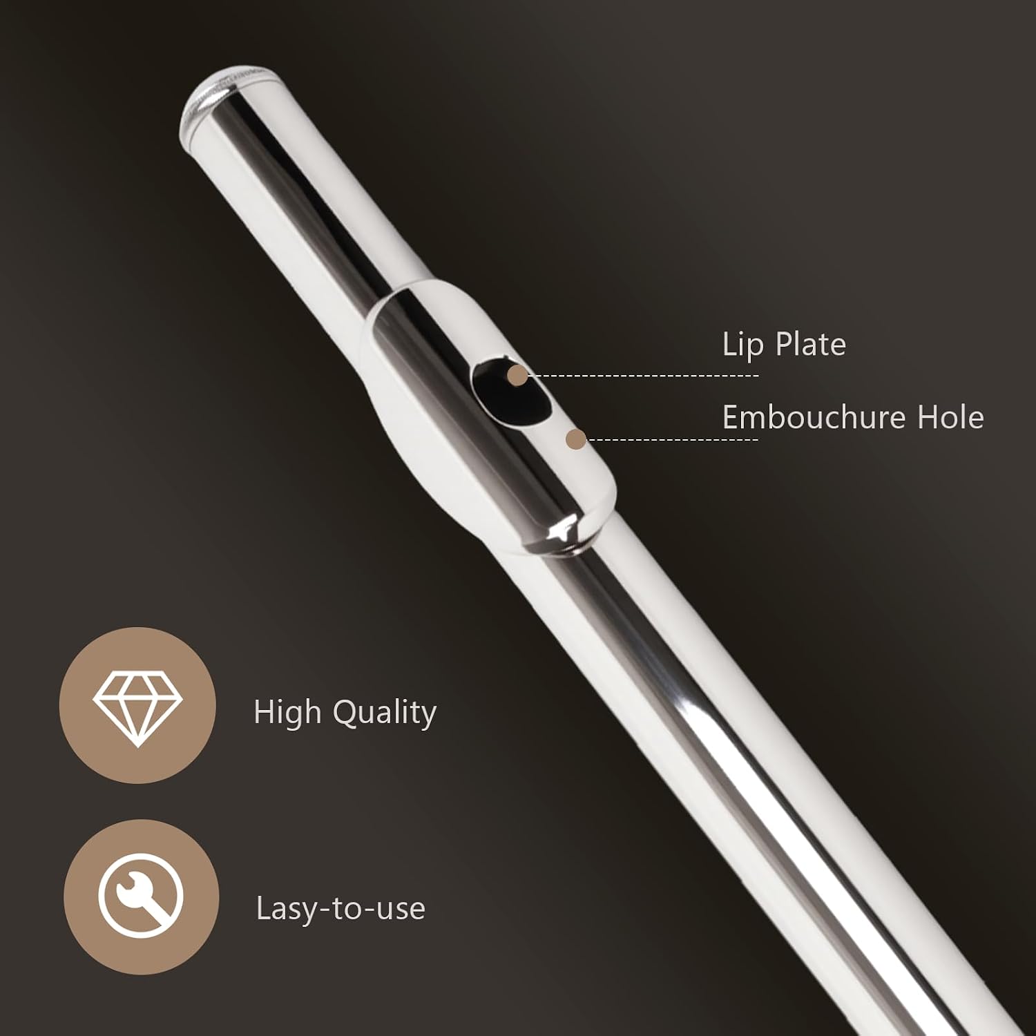 Professional Silver Plated C Flute for Beginners and All Levels, 16 Key Closed Hole with Ergonomic Design, Includes Carrying Case, Gloves, Cleaning Cloth, Tuning Rod, INEFFA