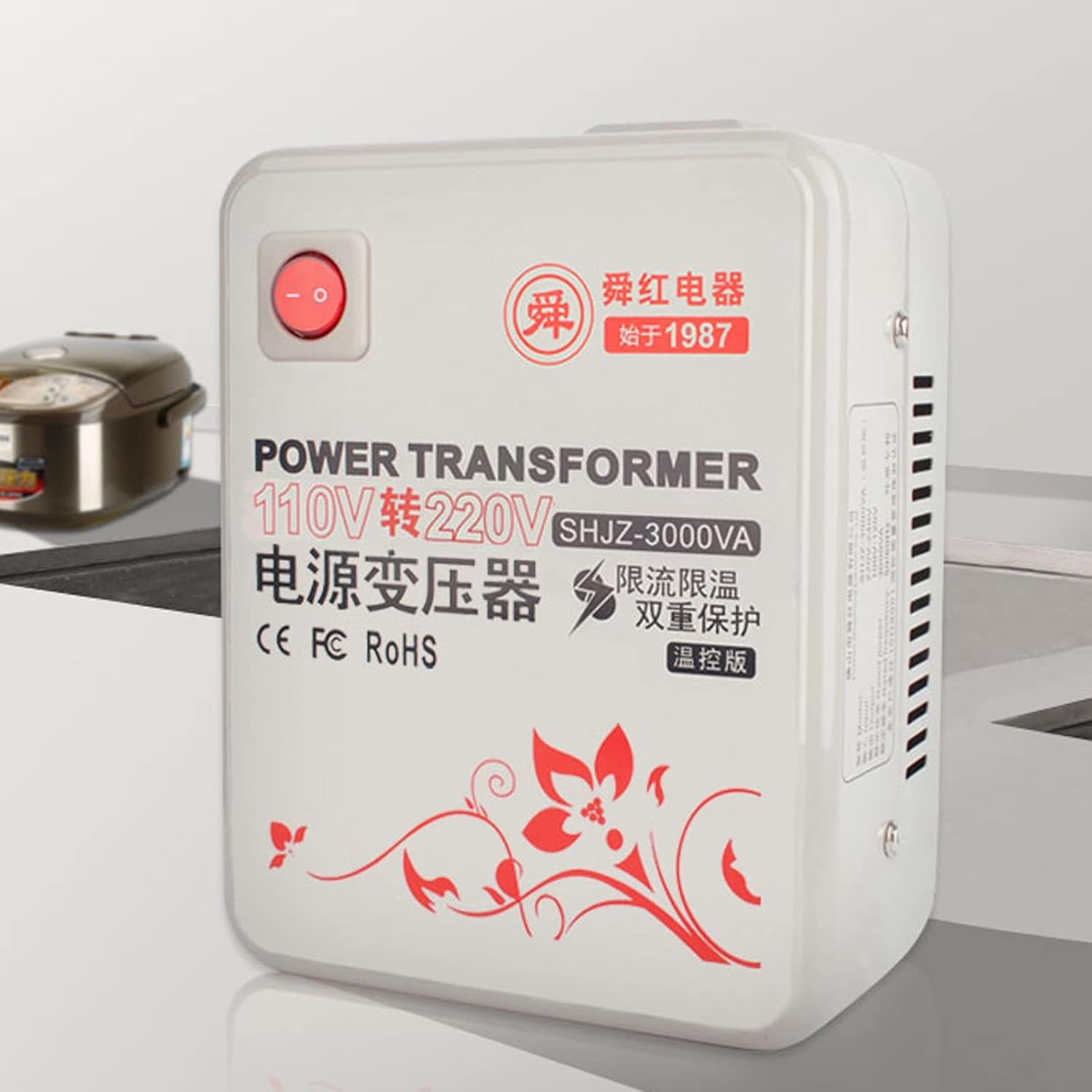 3000 Watt Voltage Converter 110v to 220v Kitchen Appliances/Hair Straightener/Curling Iron and Other Small Appliances Below 2400W