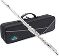 EASTROCK Open Hole Flutes C 16 Keys Silver Plated Flute Instrument for Beginner Kids Student with Carrying Case,Stand,Cleaning kit,Gloves,Tuning Rod(Open/Closed Hole,Silver Plated)