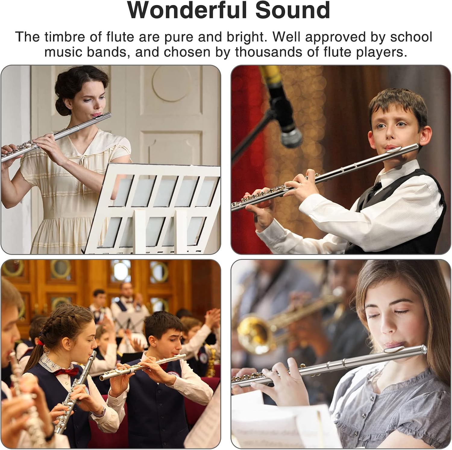 POGOLAB Open Hole C Flute, 16 Keys Student Flute Instrument for Beginner Advanced Player, with Carry Bag, Strap, Gloves, Adjustment Screwdriver, Cleaning Kit (Open/Closed Hole, Silver Plated)