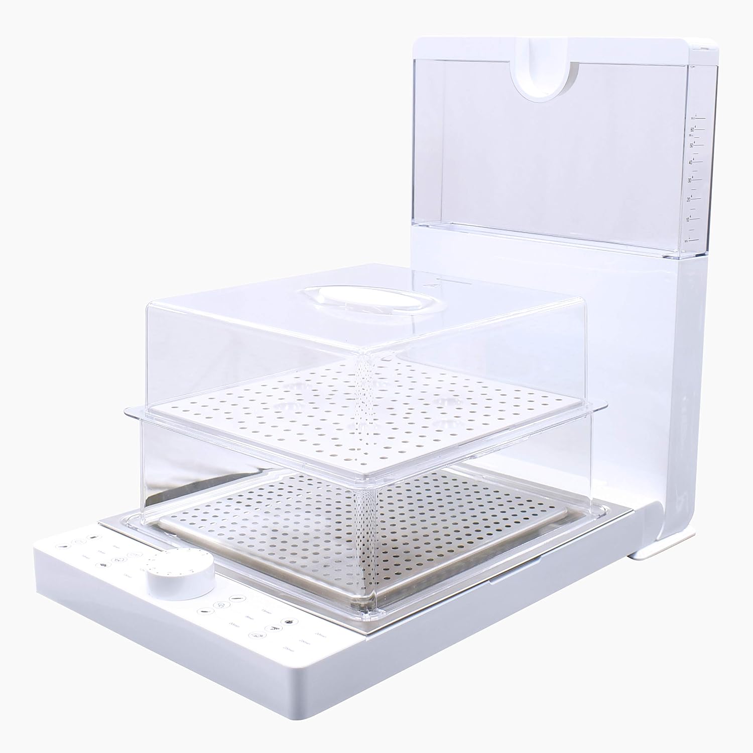 Ashley Electric Food Steamer | Foldable 2 Tier Auto Shutoff Quick Cooking Steamer for Kitchen with Anti-dry Protection, 10-Quart