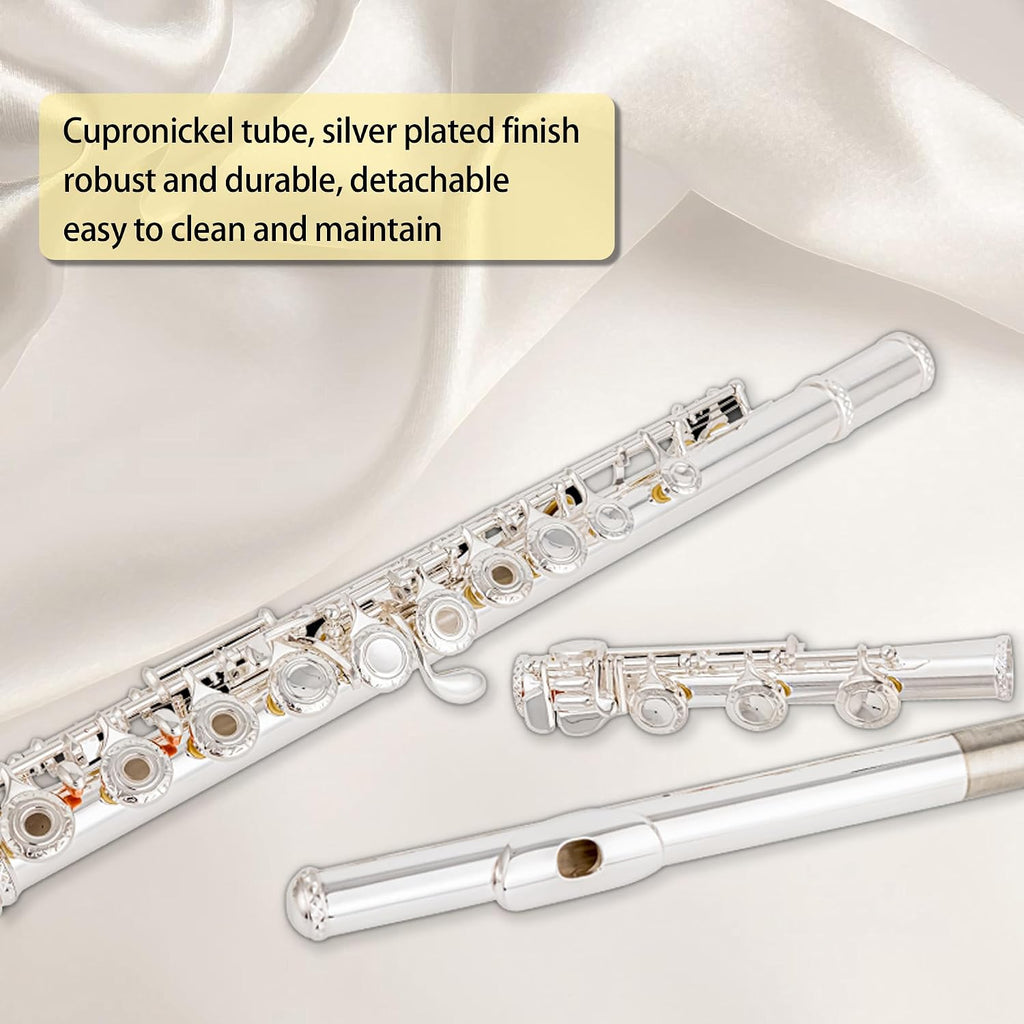 BAHAMUT Silver-Plated Carving B Foot Flute, 17 Open Hole Flauta with Offset G, Split E Mechanism, 17 Key Flute Instrument for Professional Performance