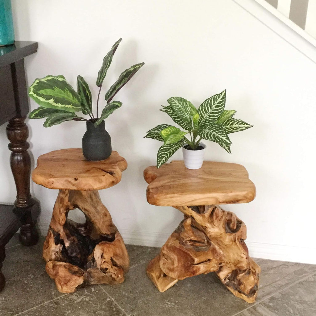 Greenage Cedar Roots Flower Stand Stool Tree Stump End Table 13.5' x 15.5' x 19' H Live Edge Wood Side Table for Living Room Bedroom Garden