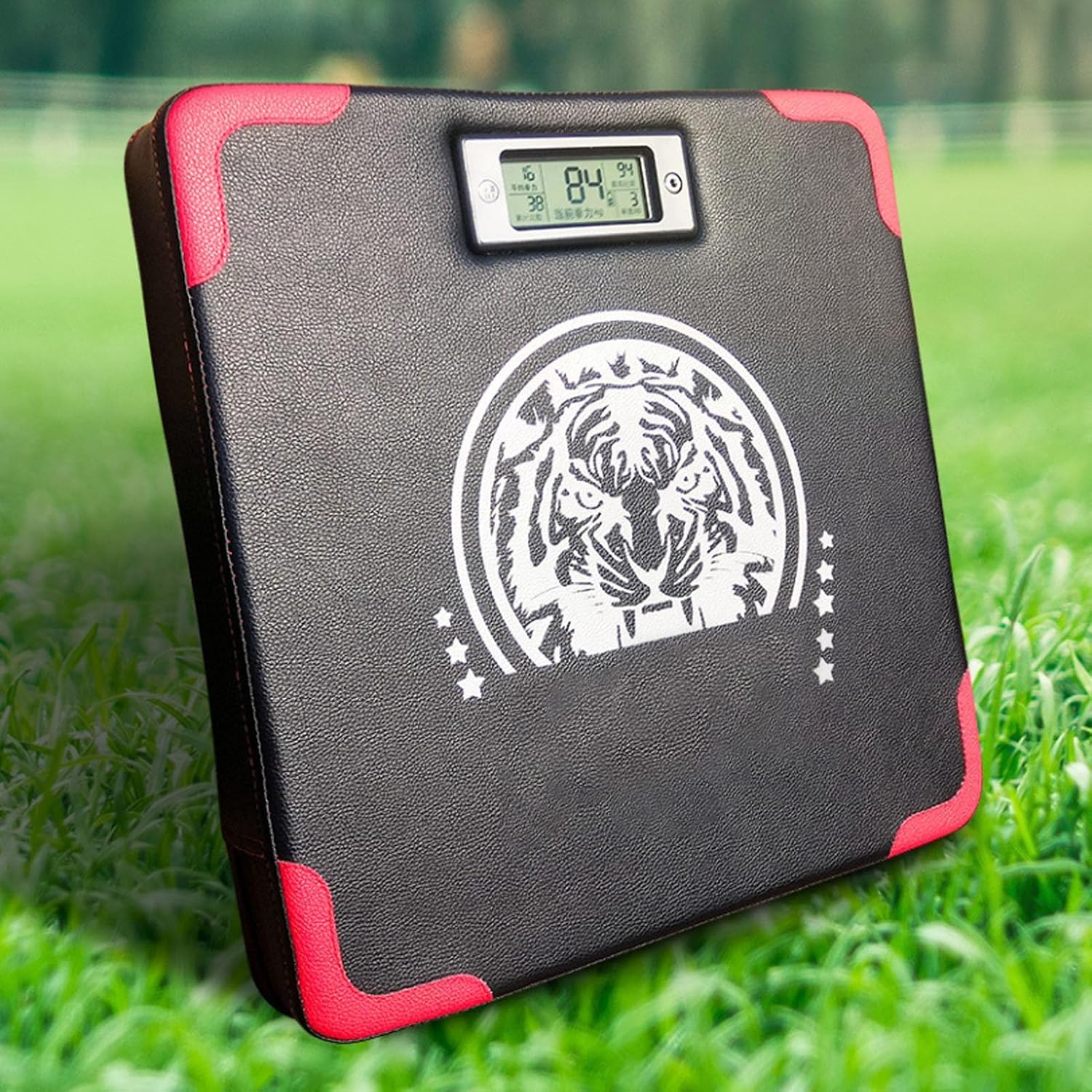 Boxing Force Testing Machine, Punch Force Tester, Target Boxing Mat, with LED Display Counter, for Kids, Adults, Home Workout