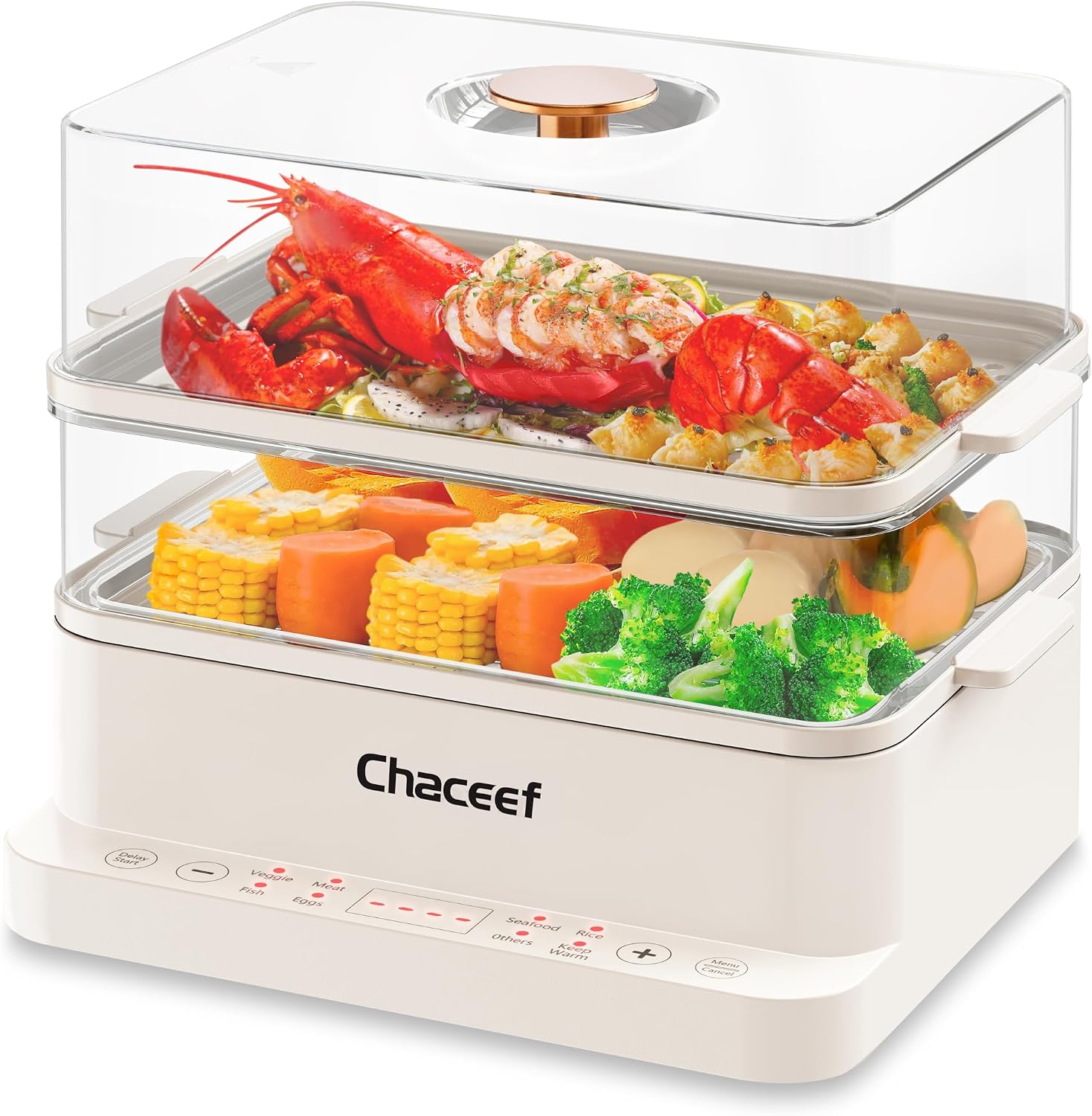 CHACEEF Electric Food Steamer for Cooking, Multi-Level Kitchen Appliance for Home Cooking