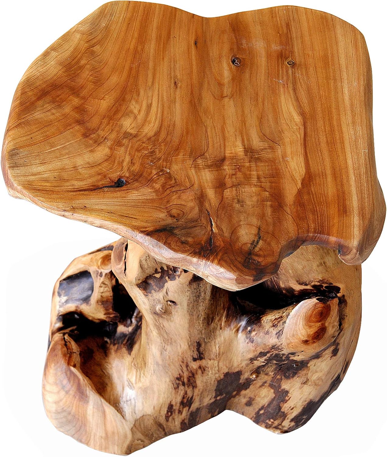 Greenage Cedar Roots Flower Stand Stool Tree Stump End Table 13.5' x 15.5' x 19' H Live Edge Wood Side Table for Living Room Bedroom Garden