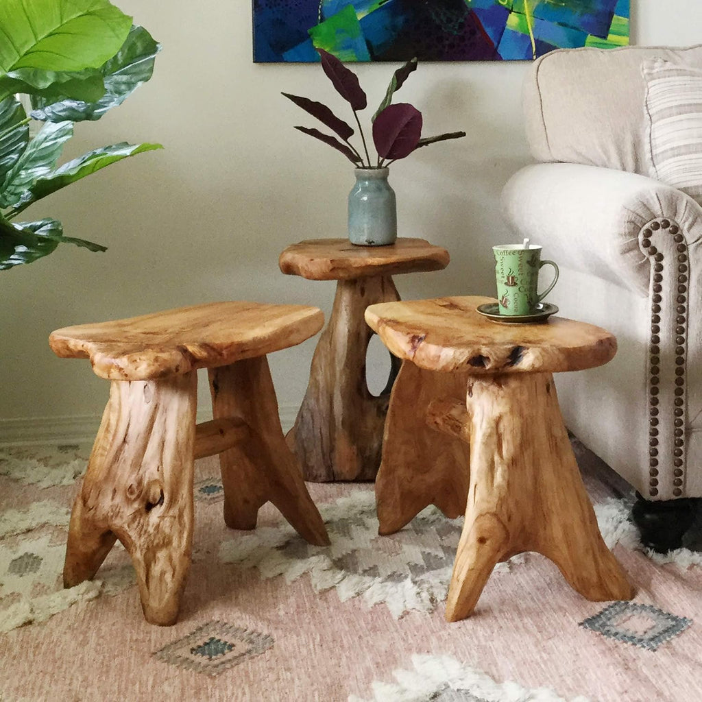 Greenage Cedar Roots Flower Stand Stool Tree Stump End Table 13.5' x 15.5' x 19' H Live Edge Wood Side Table for Living Room Bedroom Garden