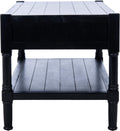 Safavieh Home Collection Filbert Black 2-Drawer Bottom Shelf Coffee Table COF5703B